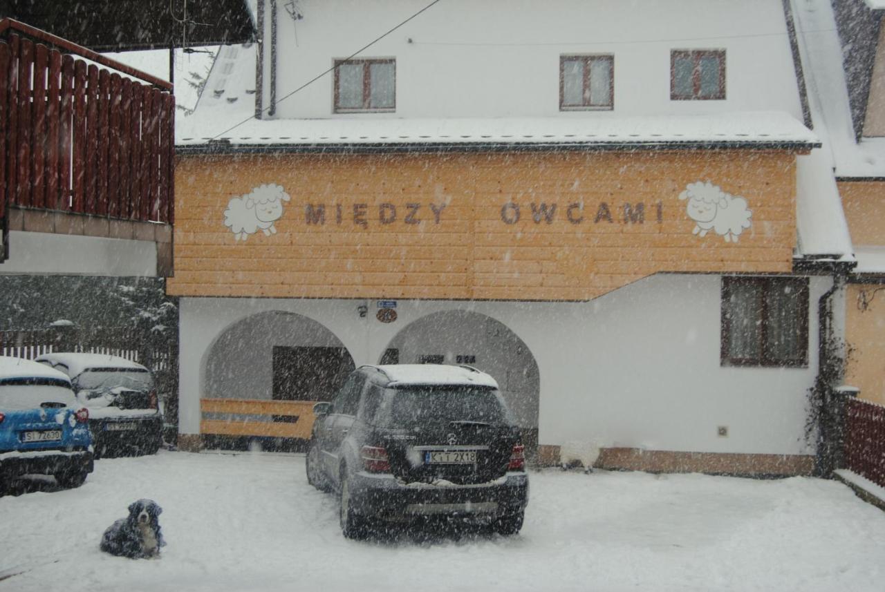 Miedzy Owcami Apartment Sromowce Wyzne Exterior foto
