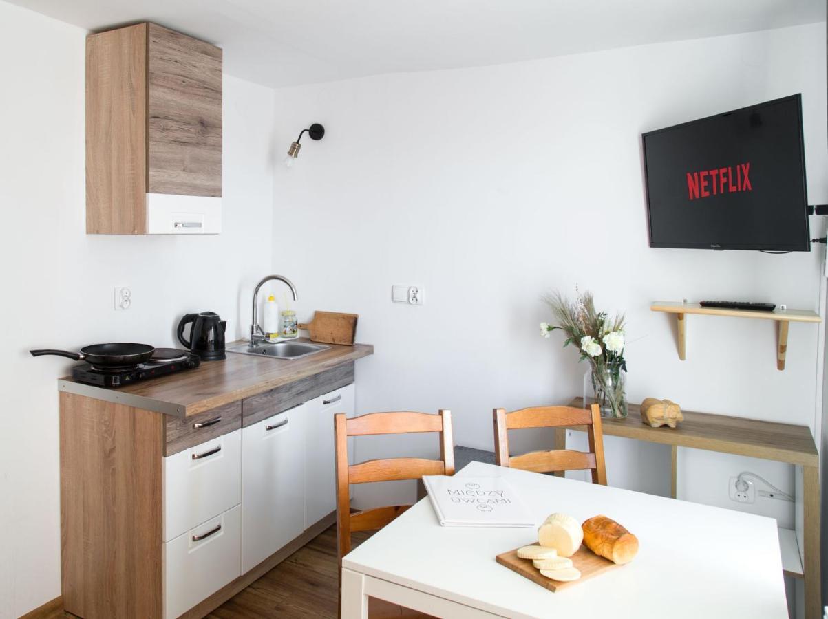 Miedzy Owcami Apartment Sromowce Wyzne Exterior foto
