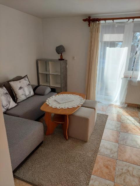 Miedzy Owcami Apartment Sromowce Wyzne Exterior foto